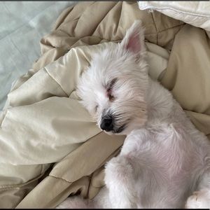 Meet your Posher, Lance